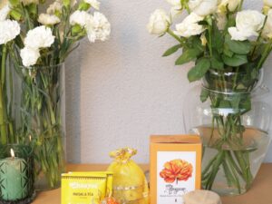 Festival of Light & Warmth